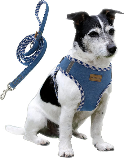 Premium Denim Dog Harness and Leash Set (Baby Blue, S)