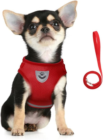 FEimaX Small Dog Cat Harness and Leash Set, No Pull Adjustable Pet Mesh Harness with Reflective Strips