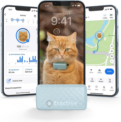 Tractive Smart Cat GPS Tracker | Real-Time Location & Wellness Monitoring for Cats 6.5 lbs+