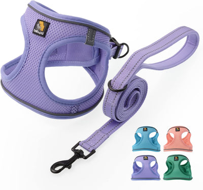 BELLA & PAL Puppy Harness with Leash Set, Dog Harness for Small Dogs No Pull, XS