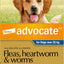 Advocate Dog, Monthly Spot-On Protection from Fleas, Heartworm and Worms, Three Pack Flea Treatment for XL Dogs Over 25 kg, 3 Pack
