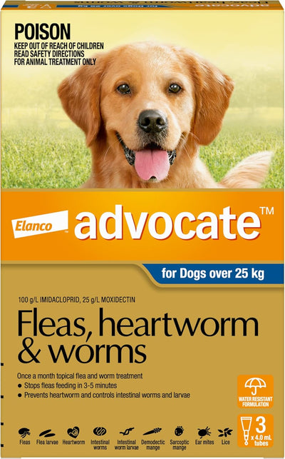 Advocate Dog, Monthly Spot-On Protection from Fleas, Heartworm and Worms, Three Pack Flea Treatment for XL Dogs Over 25 kg, 3 Pack