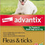 Advantix Fleas, Ticks & Biting Insects for Puppies & Small Dogs Up To 4kg - 6 Pack