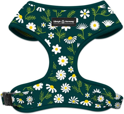 Adjustable Pet Harness and Leash Set—no-Pull, Lightweight, Breathable, Soft-Padded, Escape-Proof Comfortable for Puppies-small