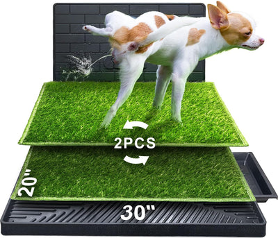 Hompet Dog Potty for Indoor or Porch