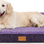 Patas Lague Orthopedic XL Dog Bed for Large Dogs 42''X28''