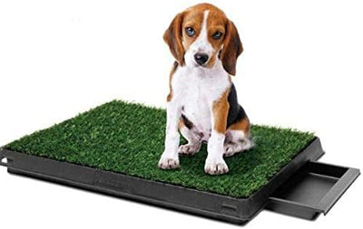 Pet Dog Toilet Mat Indoor Training Grass Potty Pad Portable Loo Tray 63X51Cm