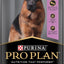 PRO Plan Adult Dry Dog Food Chicken 20kg