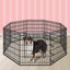 Beastie 30" Foldable Pet Dog Metal Playpen
