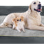 SlowTon Dog Bed for Extra Large Medium Small Dogs