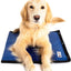 Dog Cooling Pad Dog Cooling Products Hydro Cooling Mat for Small/Medium Dogs
