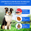 Dog Flea & Tick Collar 4 Pack – Long-Lasting Flea, Tick & Mosquito Protection, Waterproof Adjustable Pest Repellent Collar for Small, Medium & Large Dogs | Up to 24 Months Protection