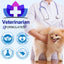 Oimmal Tasty Daily Chews for Itch Relief & Immune Support 150 Soft Chews
