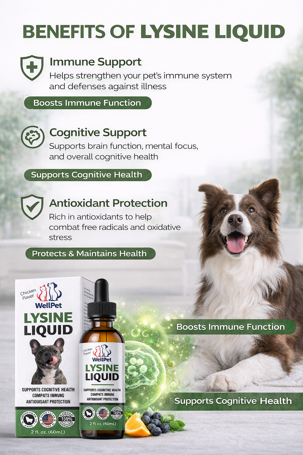 Powerful Lysine Liquid for Pets Strong Immunity & Healthy Pets 2*60ml (2Pack)