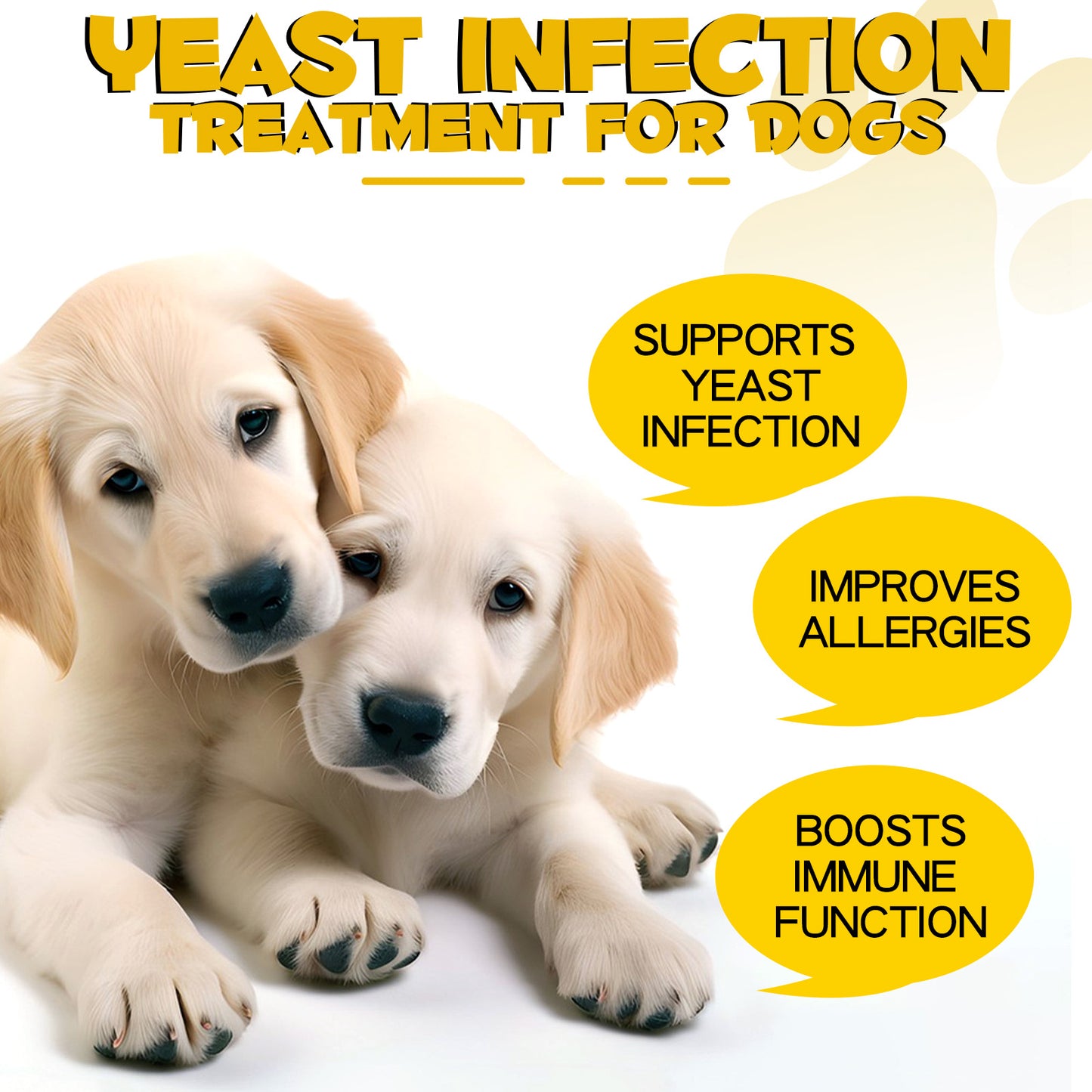 Dog Yeast Infection Treatment Drops – Anti-Itch, Skin & Immune Support