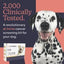 Oncotect Premium Dog Cancer Screening Test Kit – Non-Invasive, at-Home Urine Test-premium test
