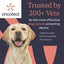 Oncotect Essential Dog Cancer Screening Test Kit