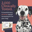 Oncotect Essential Dog Cancer Screening Test Kit