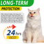 Natural Antibiotic Drops for Cats – Immune, Skin & Infection Support