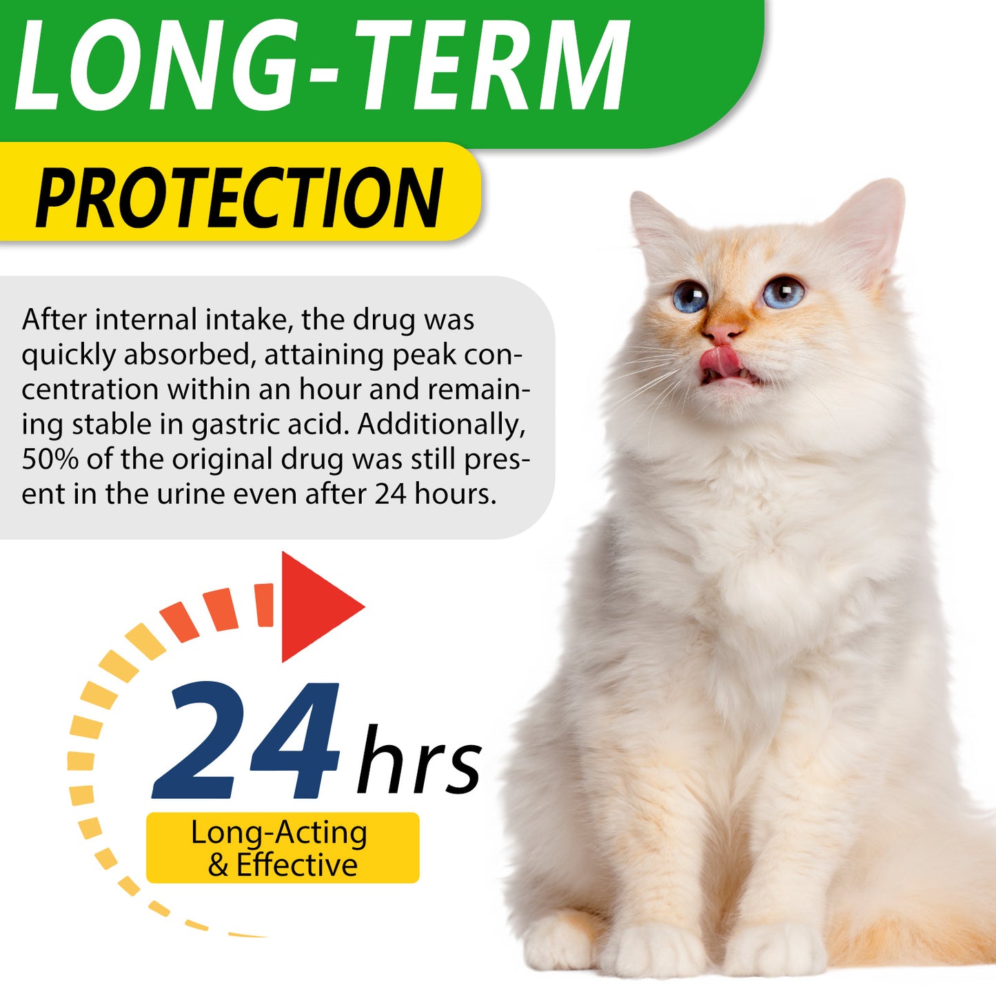 Natural Antibiotic Drops for Cats – Immune, Skin & Infection Support
