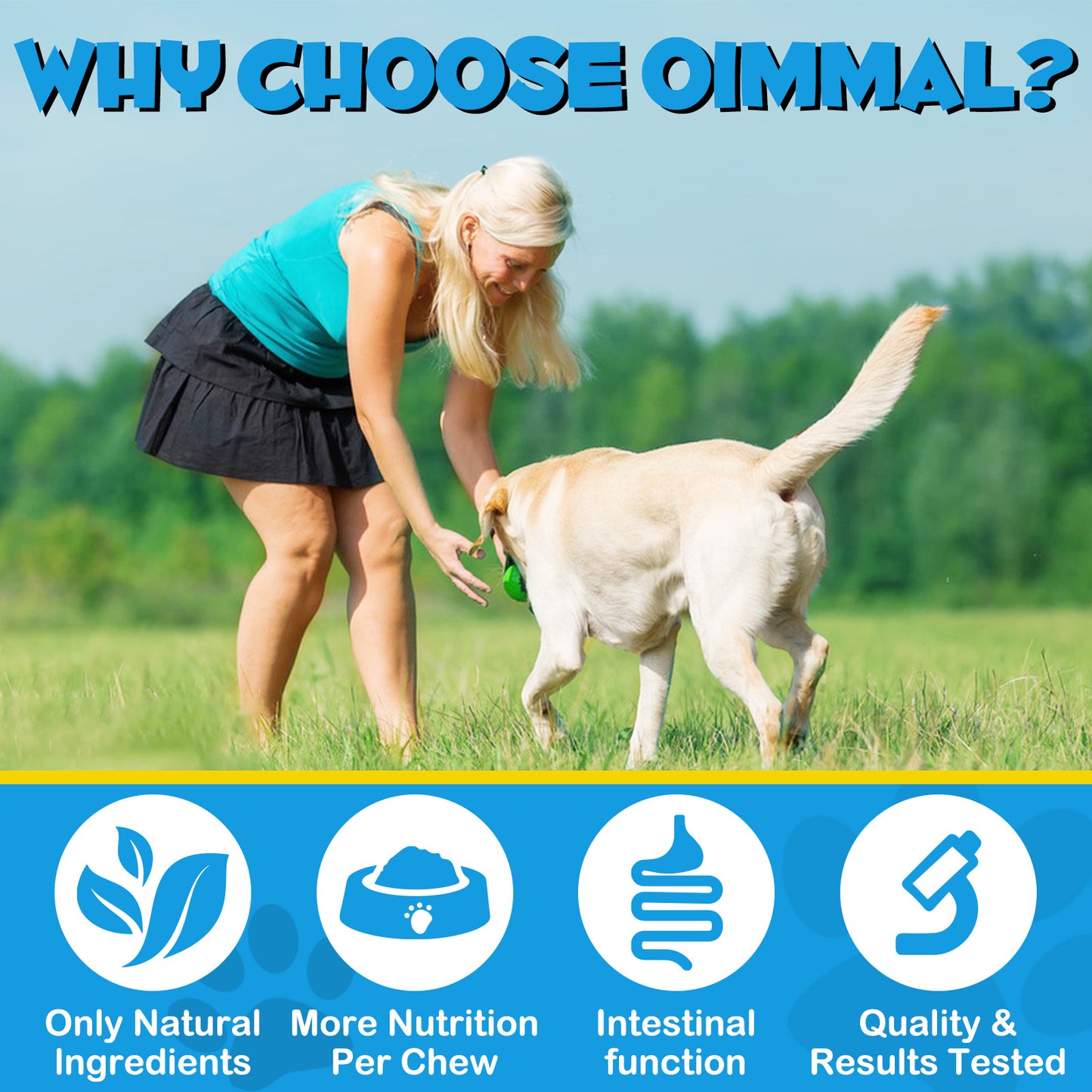 Anal Gland Support Chews for Dogs – Digestive & Bowel Health Formula