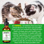 Natural Antibiotic Drops for Cats – Immune, Skin & Infection Support