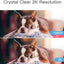2K/3MP 360° Pet Camera with Phone App, 2.4G WiFi Only, Indoor Security Camera , Work with Alexa