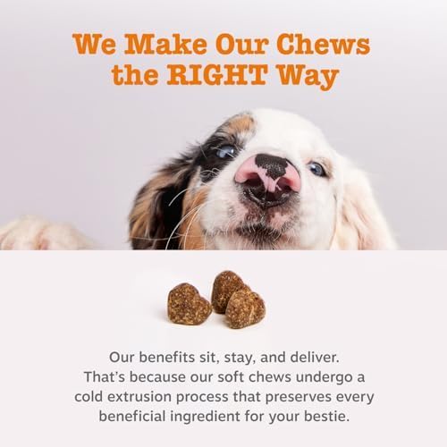 Probiotics for Dogs - Probiotics for Gut Flora, Digestive Health, Occasional Diarrhea & Bowel Support