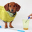 UTI Test Kit for Dogs with Reusable P-Scoop Telescopic Urine Collector