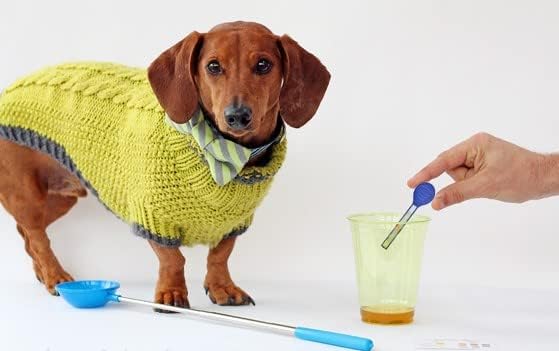UTI Test Kit for Dogs with Reusable P-Scoop Telescopic Urine Collector