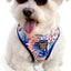Adjustable Dog Harness | Cute Colourful Patterns | Perfect Fit, Escape Proof Vest | Safe and Secure | Easy On/Off | (Large, Tropic Fronds)