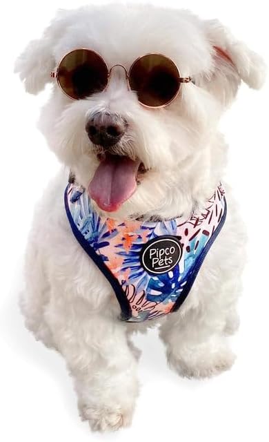 Adjustable Dog Harness | Cute Colourful Patterns | Perfect Fit, Escape Proof Vest | Safe and Secure | Easy On/Off | (Large, Tropic Fronds)