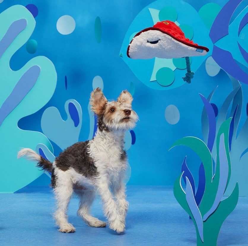 Barkbox Sting Crosby The Ray (BoBB) Dog Squeak Chew Toy