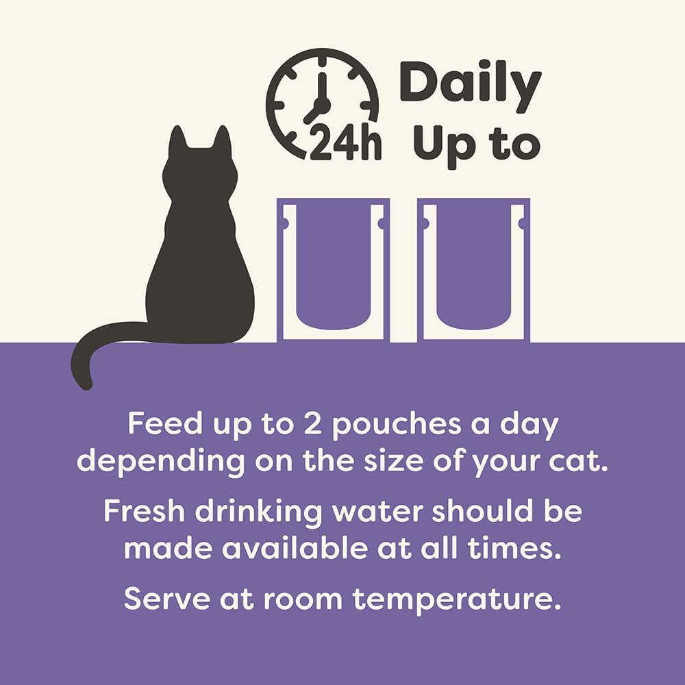 Applaws 100% Natural Wet Cat Food Mixed Variety Fish Selection in Jelly Pouch 70g (Pack of 48), Limited Ingredients Pet Food