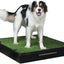 PetSafe Pet Loo Portable Dog Potty,Toilet Alternative for Puppy Pads, Large