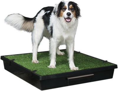 PetSafe Pet Loo Portable Dog Potty,Toilet Alternative for Puppy Pads, Large