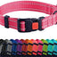 CollarDirect Reflective Dog Collar for a Small, Medium (Pink, 7-11 Inch)