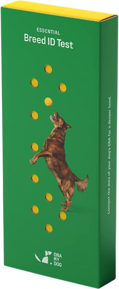 DNA MY DOG – Trusted & Affordable Breed Identification Test | 350+ Breeds Identified w/ 99%+ Accuracy