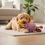 Barkbox Pippi Platypus Plush Dog Toy, Gentle Play, Fetch & Cuddle Toy for All Dogs