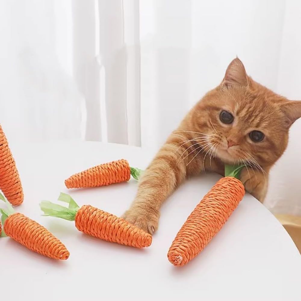 Cat Chew Toys, 2Pcs Carrot Shapes Cat Rope Toys with Sounding Parcels Interactive