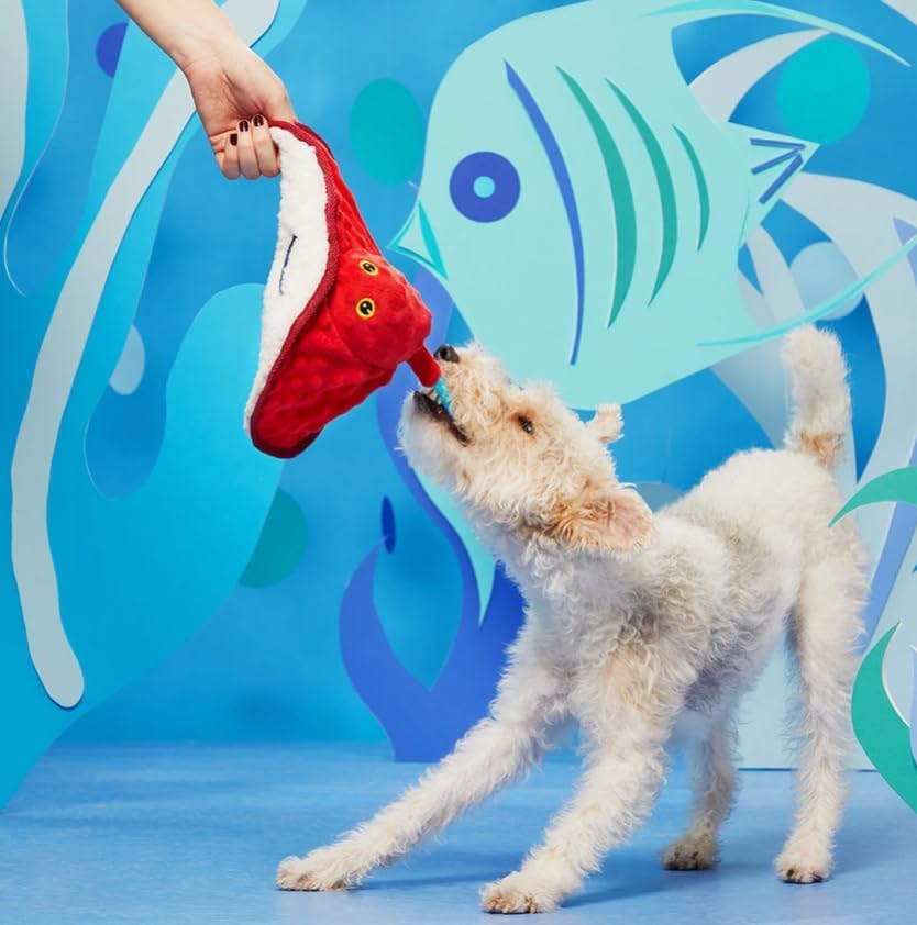 Barkbox Sting Crosby The Ray (BoBB) Dog Squeak Chew Toy