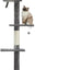 PAWZ Road Cat Tree 5-Tier Floor to Ceiling Cat Tower Height Adjustable 95-107 Inches, Tall Kitty Climbing Activity Center with Scratching Post, Cozy Bed, Dangling Ball for Indoor Cats Grey
