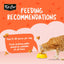 Kit Cat Kitty Crunch Salmon Treat 60 g