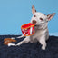 Barkbox Kenpuppy Fried Chicken (BoBB) Dog Squeak Chew Toy - Plush Bucket & Drumstick Set with Squeakers & Crinkle – for X-Small to Small Dogs
