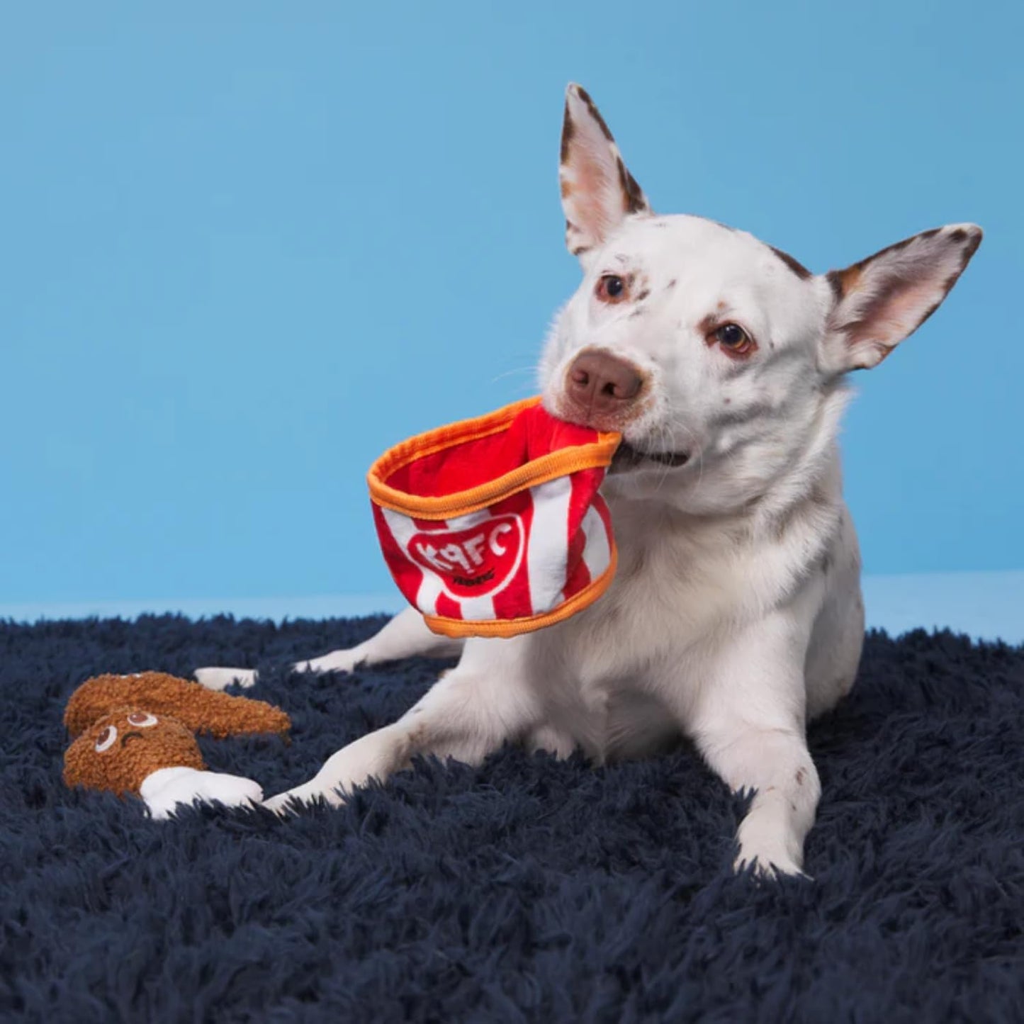 Barkbox Kenpuppy Fried Chicken (BoBB) Dog Squeak Chew Toy - Plush Bucket & Drumstick Set with Squeakers & Crinkle – for X-Small to Small Dogs