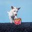 Barkbox Kenpuppy Fried Chicken (BoBB) Dog Squeak Chew Toy - Plush Bucket & Drumstick Set with Squeakers & Crinkle – for X-Small to Small Dogs