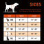 PHOEPET No Pull Dog Harness Medium 3M Reflective Front Clip Vest (M, Grey)