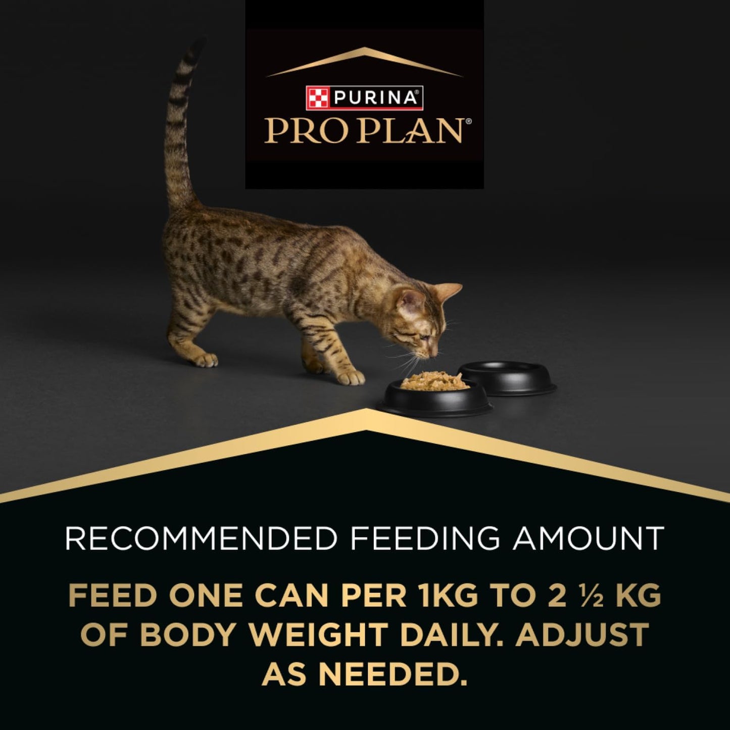 PRO PLAN Kitten Wet Cat Food Salmon in Gravy 12x85g
