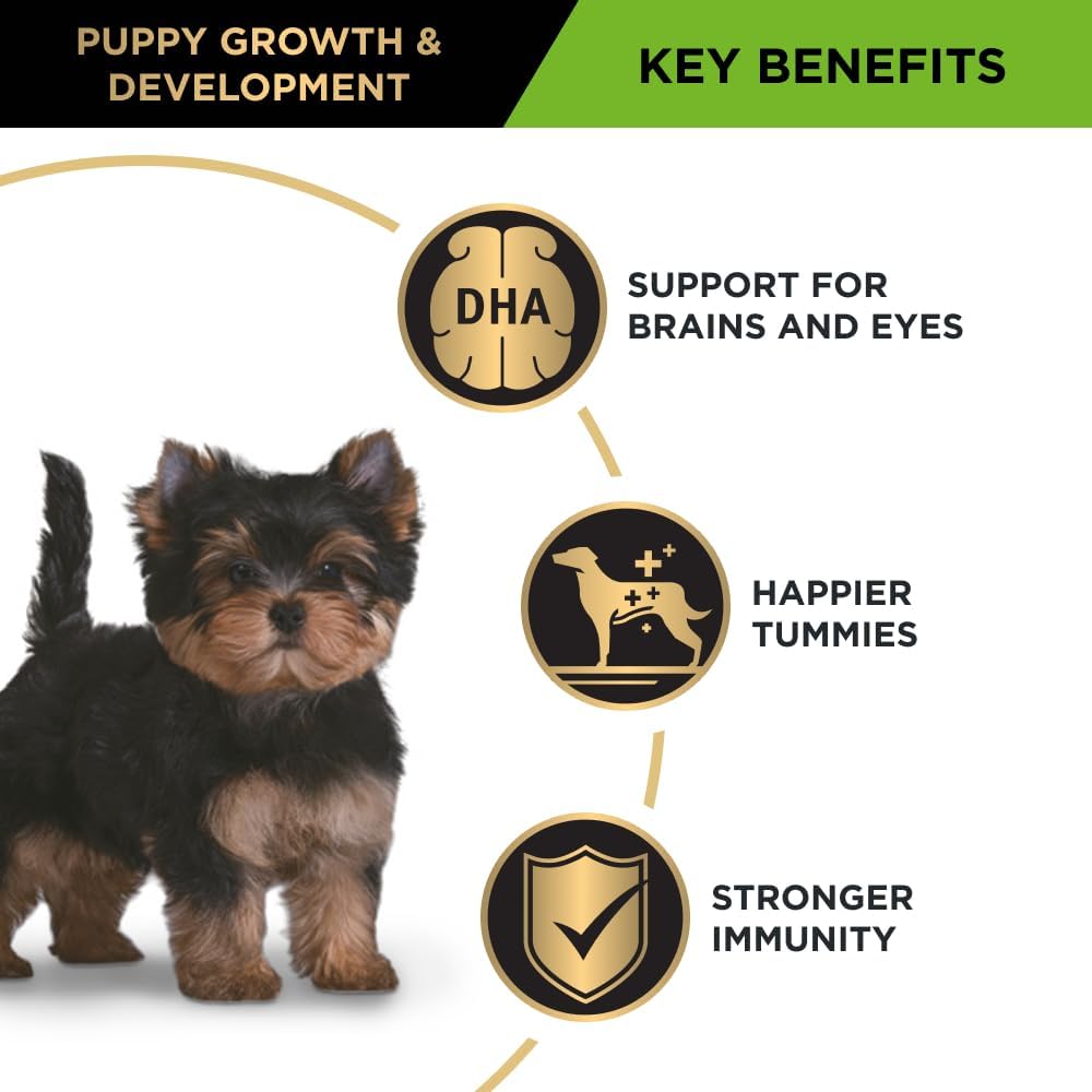 PRO Plan Puppy Dry Dog Food Small and Toy Breeds Chicken 2.5kg