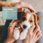 ReaVET Paw Balm Dog & Cat 120 ml - Natural Paw Care with Shea Butter, Coconut Oil & Beeswax
